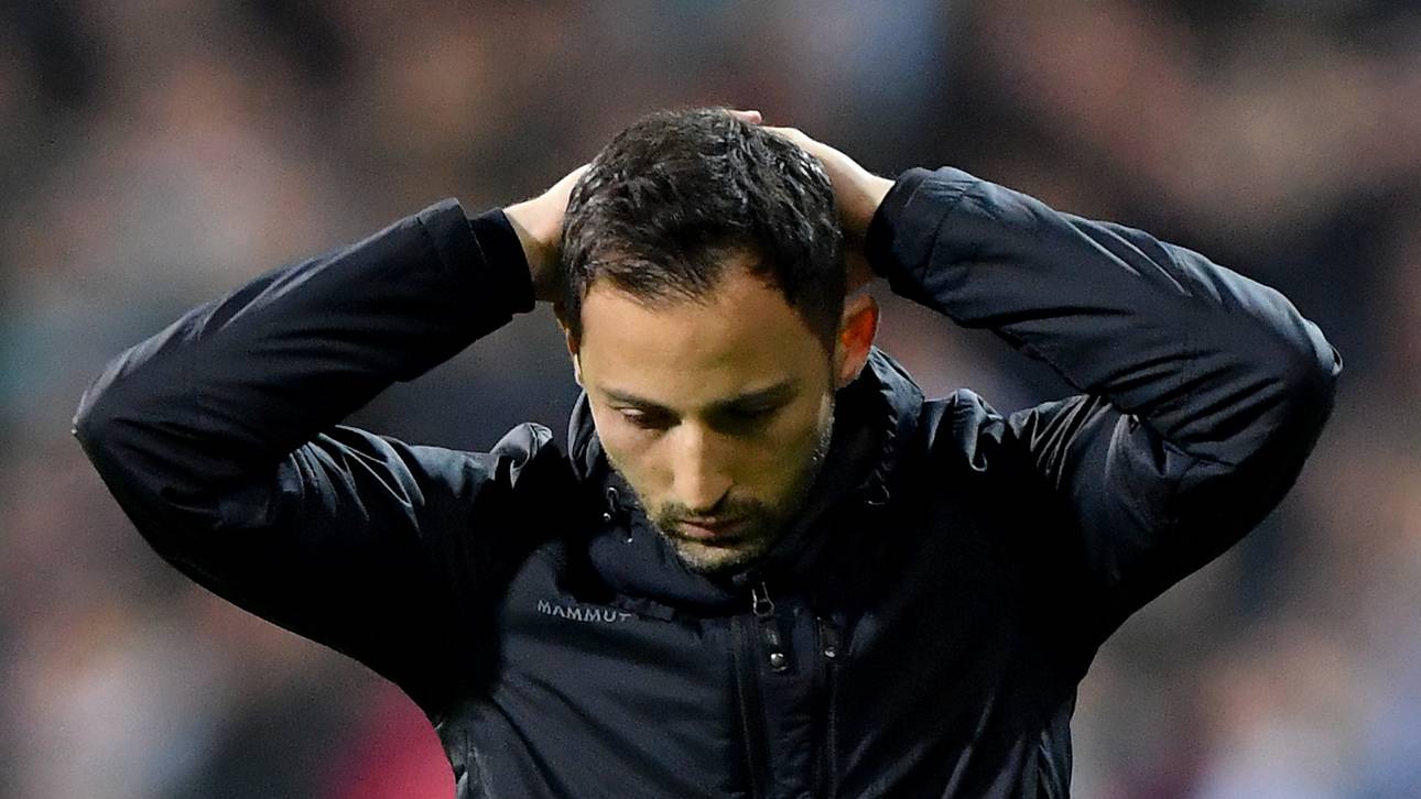 Schalke entlässt Tedesco