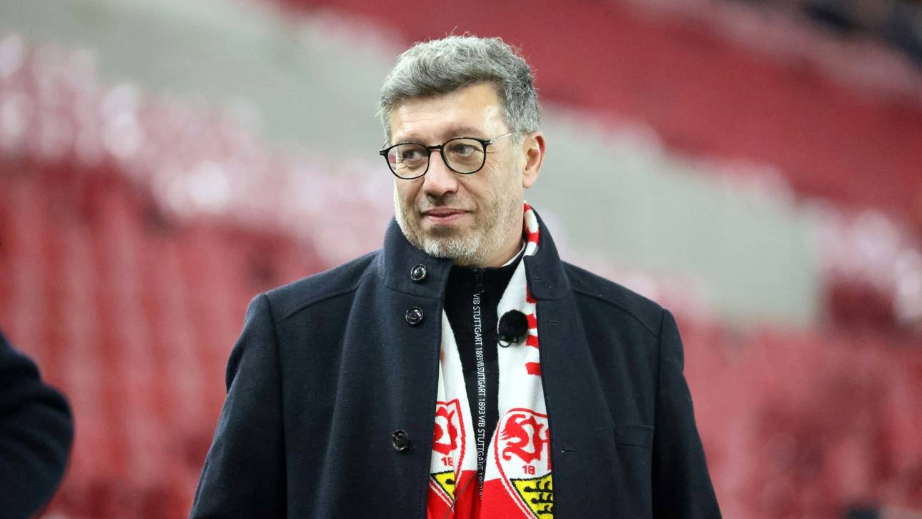 DFL: VfB-Präsident für Wiederholung