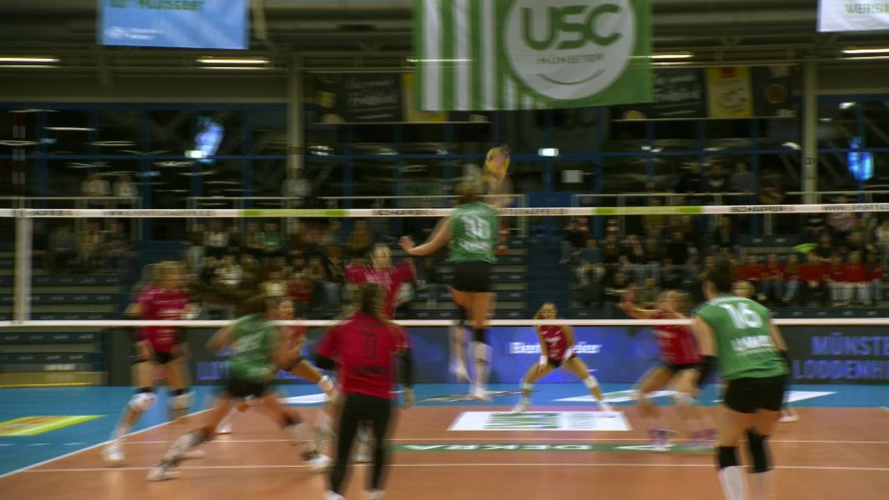Volleyball Bundesliga: VC Wiesbaden schockt USC Münster mit Mega-Comeback