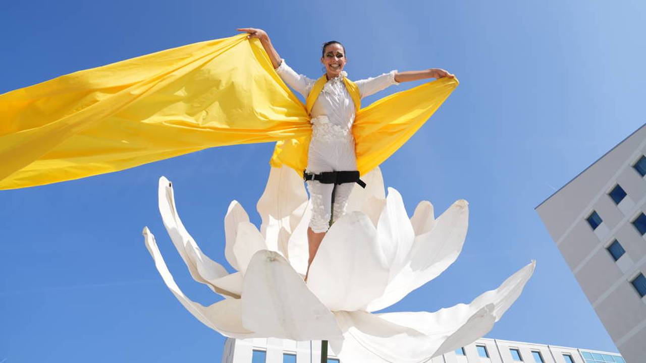 Profiklubs für Spiele in Berlin