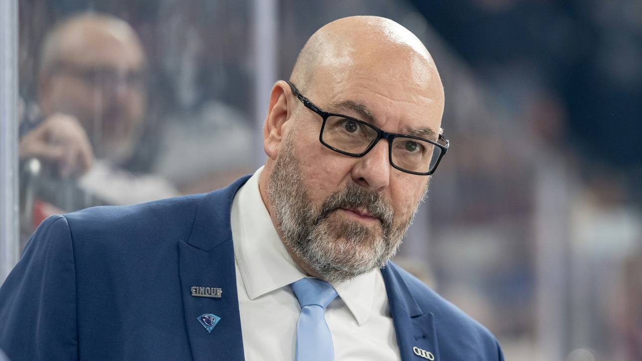 Eisbären finden neuen Trainer