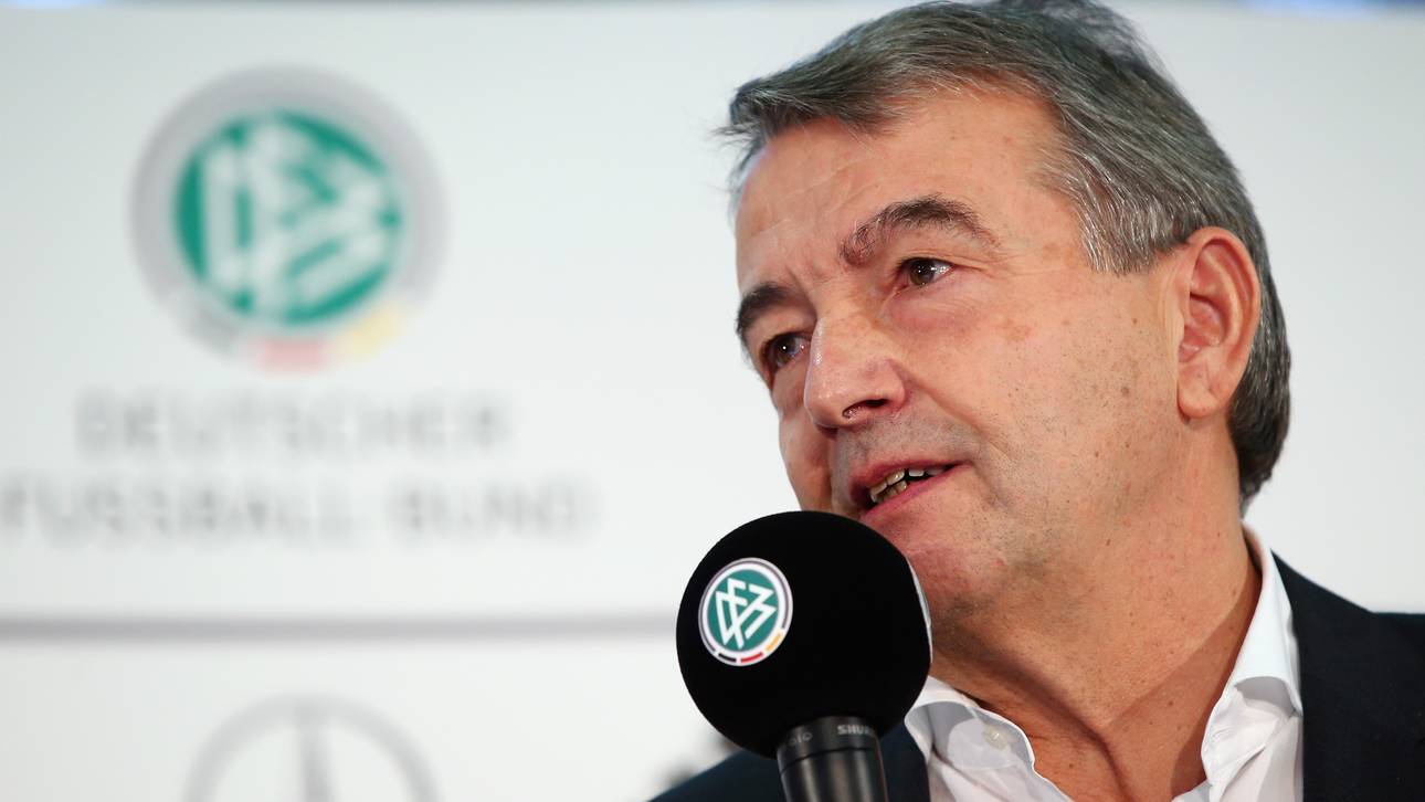 UEFA bestätigt Niersbachs Kandidatur