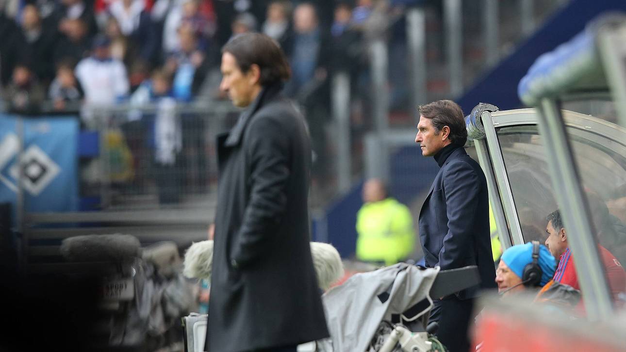 Labbadia und Schaaf auf Schmidts Seite