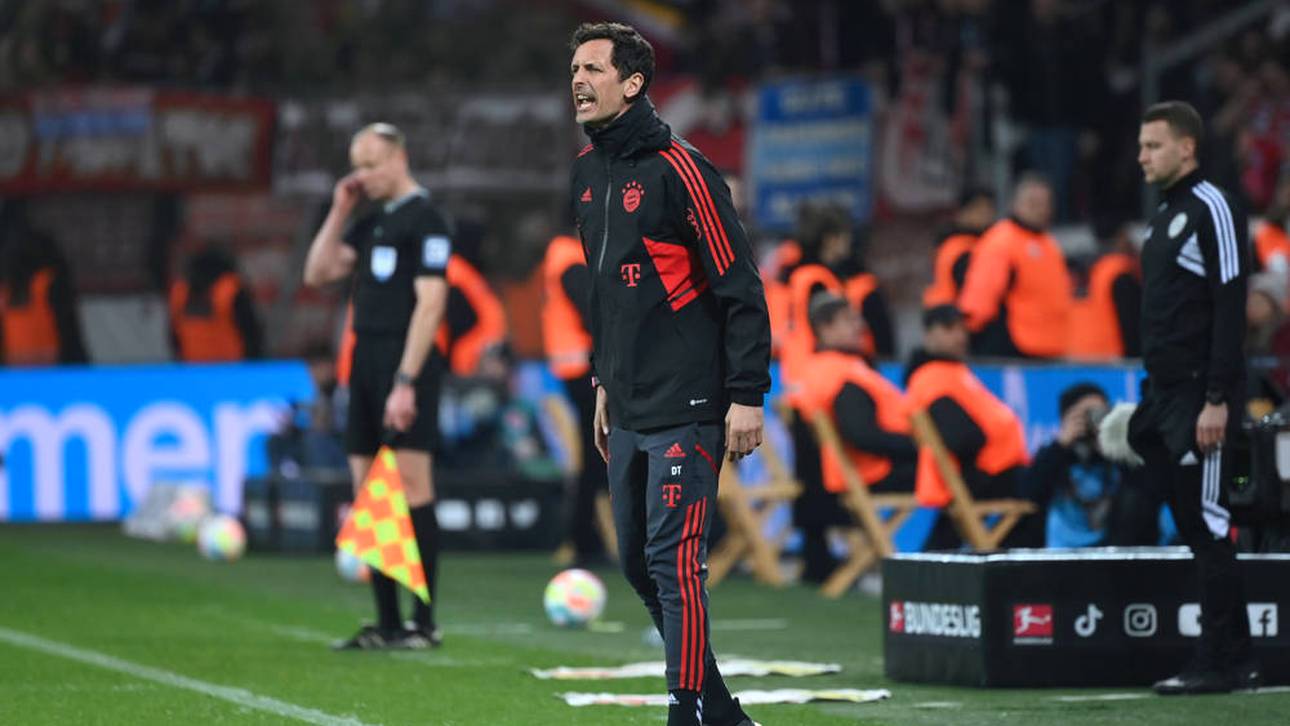 So viel bekommt Bayern für Toppmöller