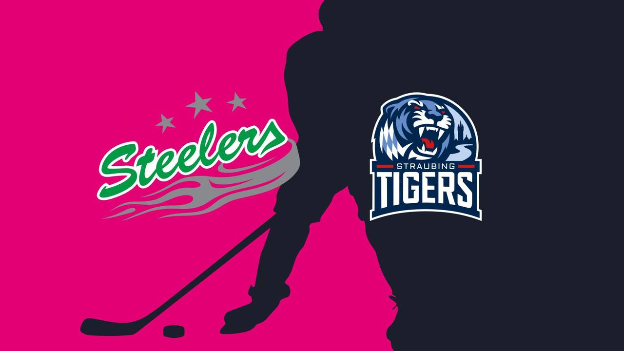 Bietigheim Steelers - Straubing Tigers: Tore und Highlights | PENNY DEL