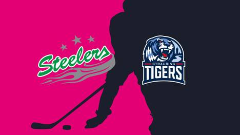 Bietigheim Steelers - Straubing Tigers: Tore und Highlights | PENNY DEL