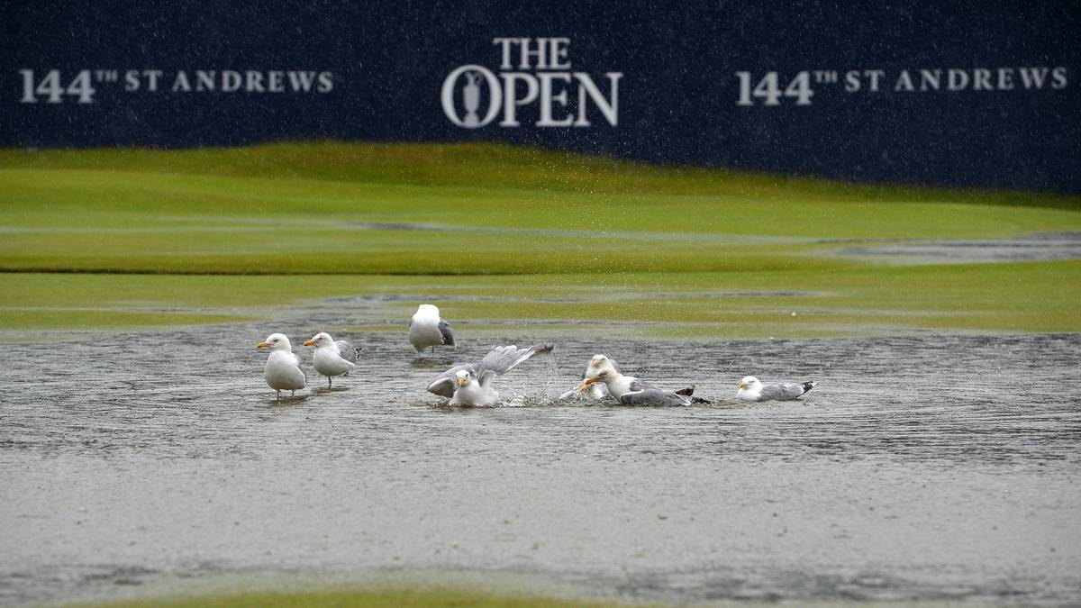 An Golf ist allerdings zunächst nicht zu denken. Stattdessen macht es sich ein Schwarm Möwen gemütlich
