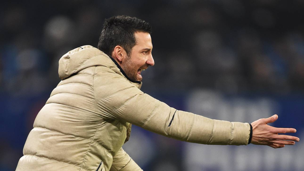 Hamburger SV v Hertha BSC - Bundesliga