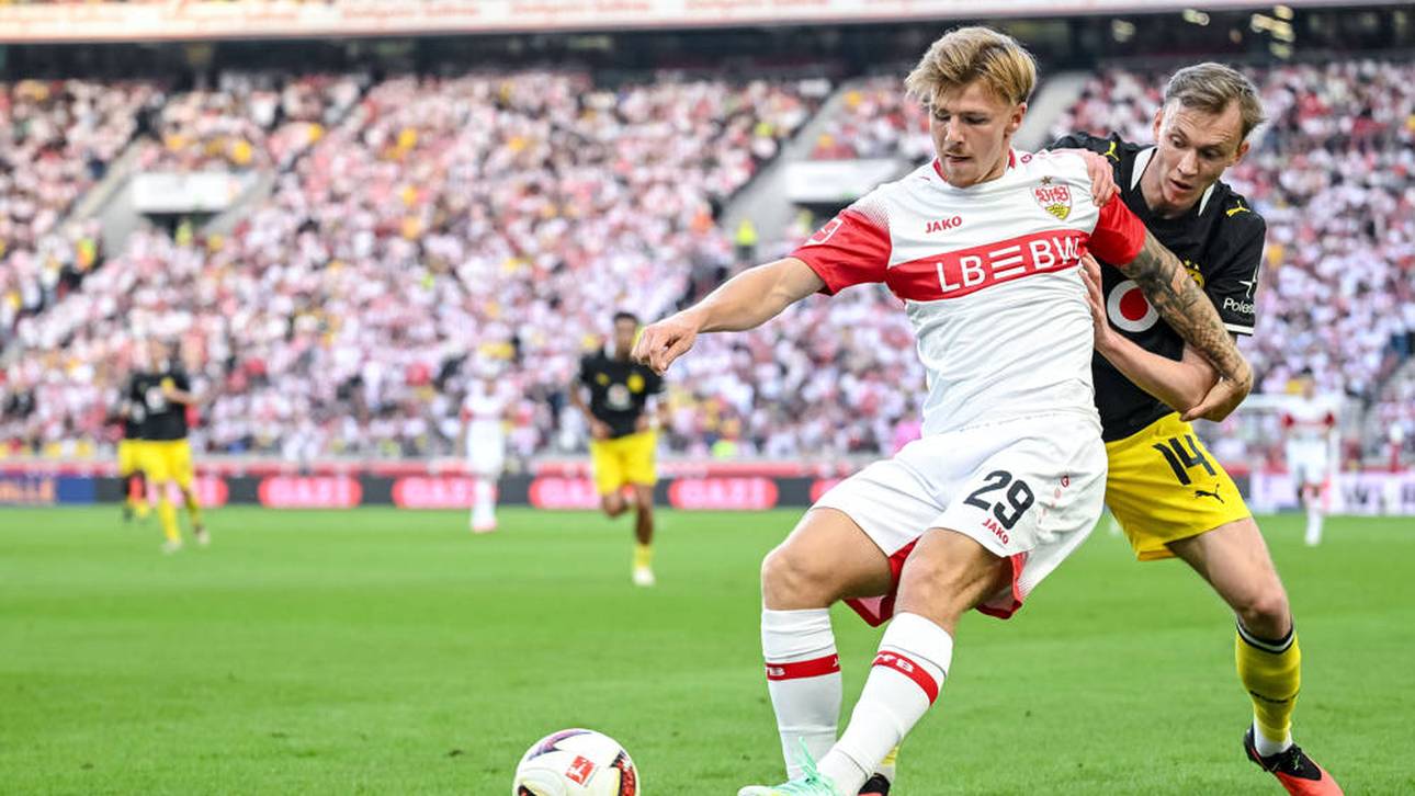 Für den VfB ist Jeltsch Stammspieler 