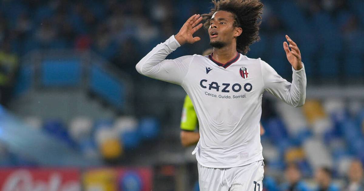 Bereut Ex-Bayern-Talent Zirkzee den Wechsel nach Bologna? - SPORT1