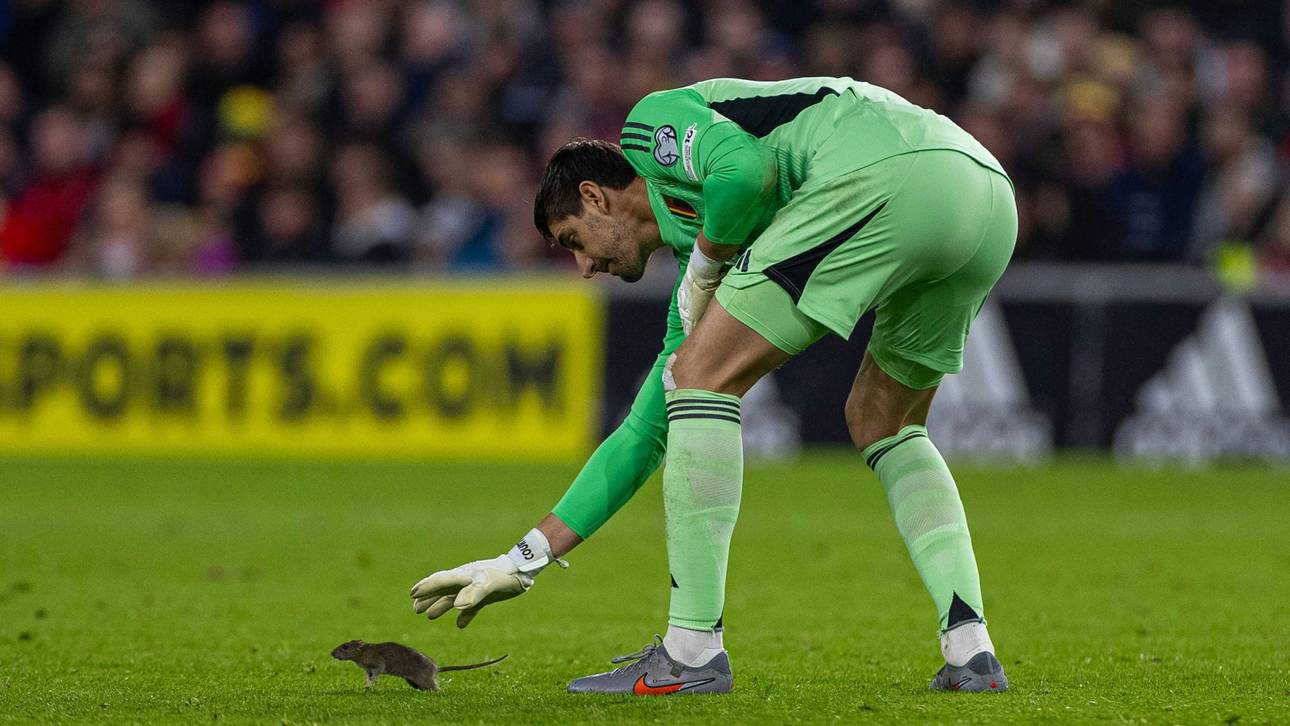 „Konnte es nicht glauben“: Ratte sorgt für Spielunterbrechung