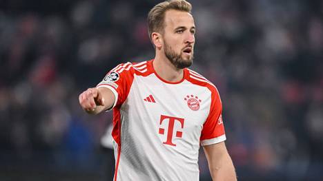 Auch Markus Babbel ist begeistert von Bayern-Neuzugang Harry Kane 