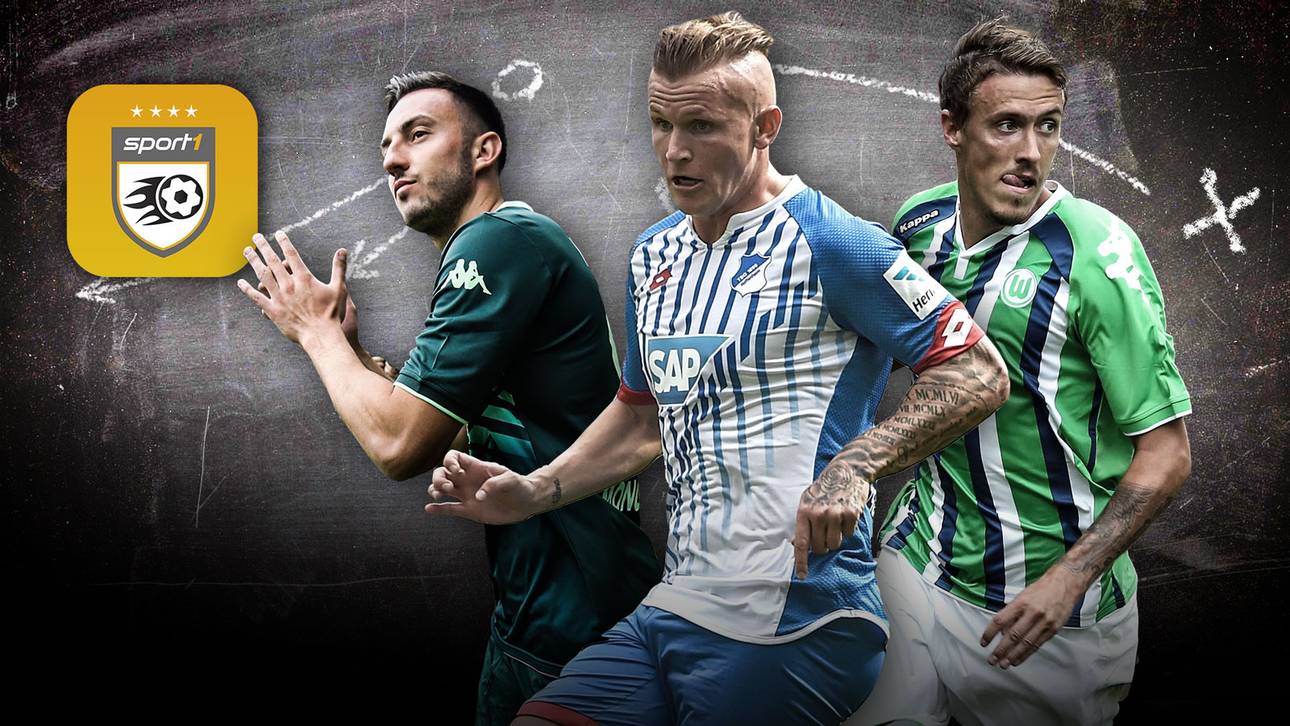 Schmetterlinge und Bulldozer