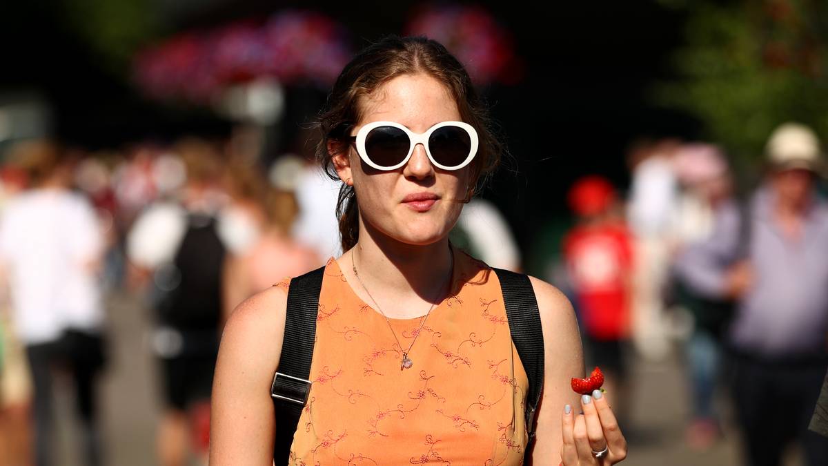 Gegen den Hunger gibt es dann natürlich Erdbeeren