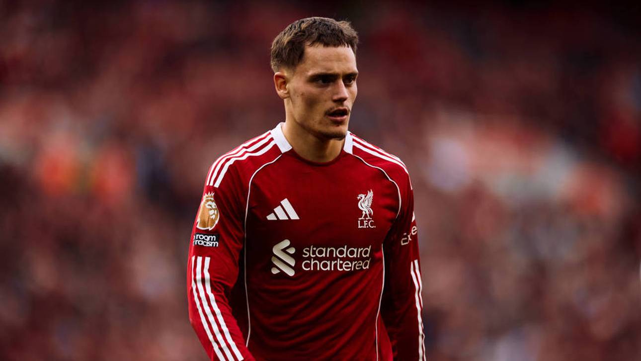 Irrsinnige Transfer-Zahlen enthüllt