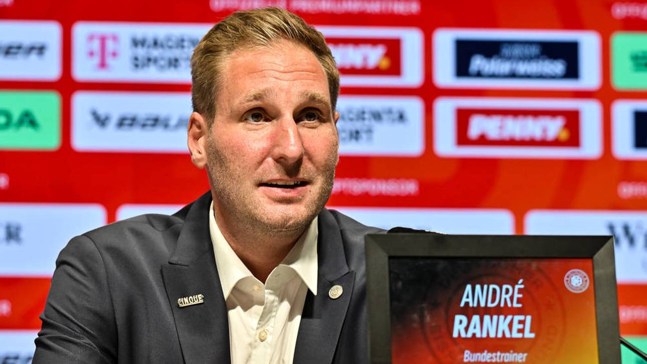 Eisbären-Trainer? Rankel fehlt Erfahrung