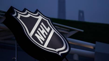 NHL Aktuell besteht die NHL aus 31 Franchises - als letztes Team kamen die Las Vegas Knights dazu