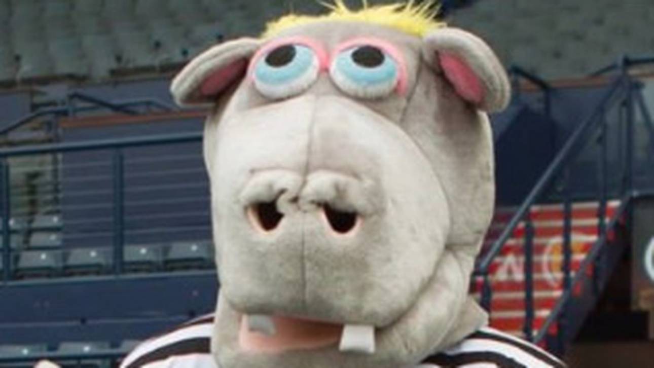 Queen’s Park sucht Maskottchen-Kopf