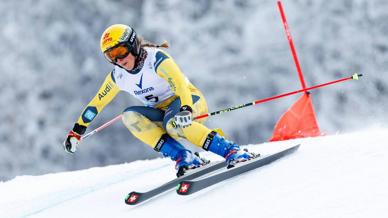 Skicross: Hronek siegt trotz Sturz