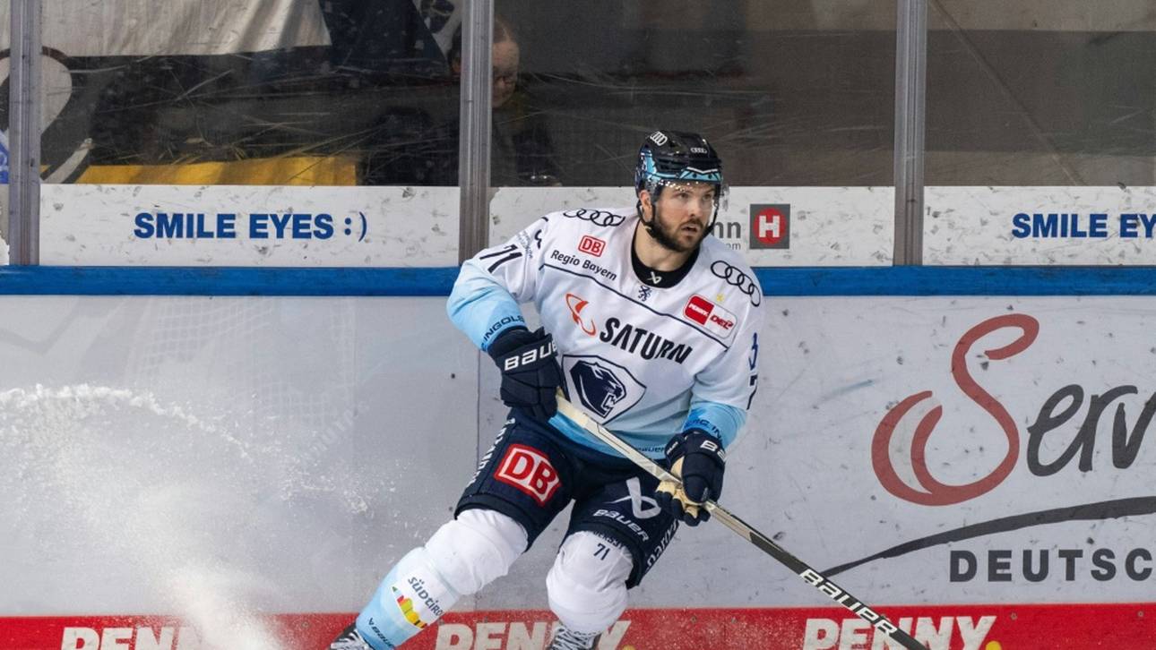 Grizzlys holen DEL-Vizemeister