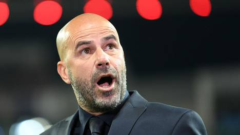 Leverkusen-Coach Peter Bosz nimmt seine Spieler in die Pflicht