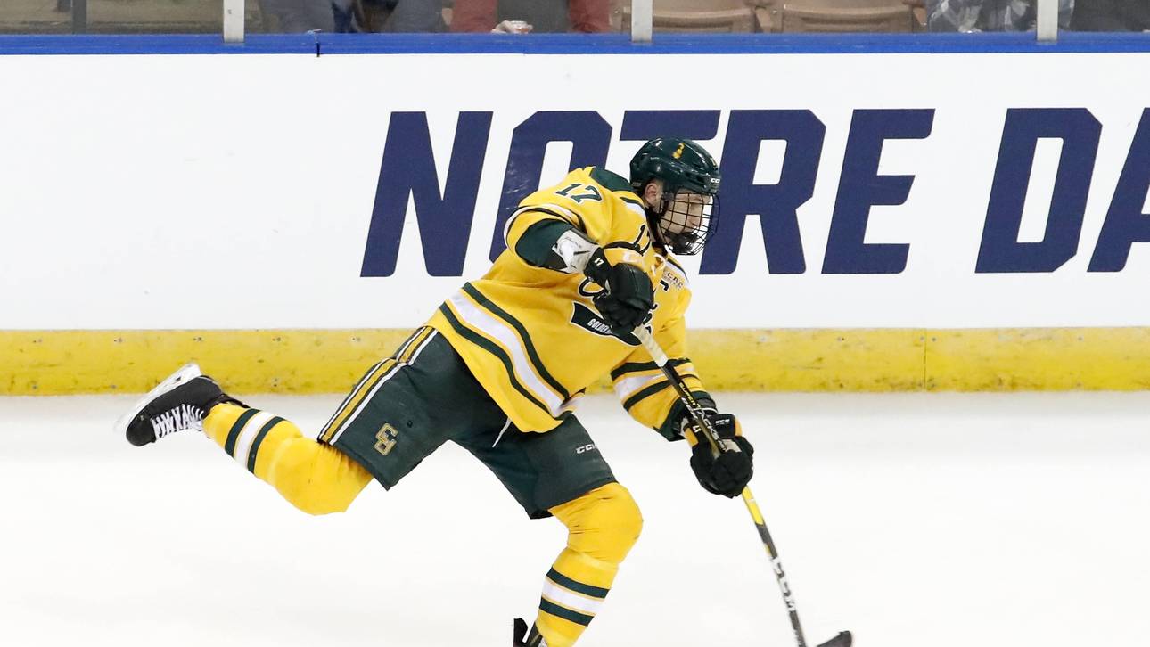 Sturm bekommt Vertrag in Minnesota