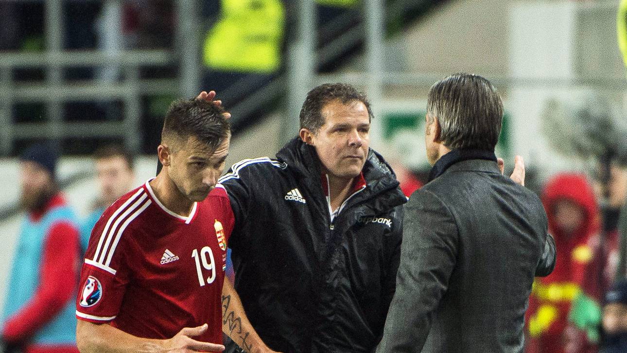 Ungarn bindet Storck und Möller