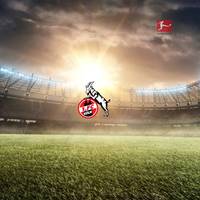 Bundesliga: 1. FC Köln – VfB Stuttgart (Samstag, 15:30 Uhr)