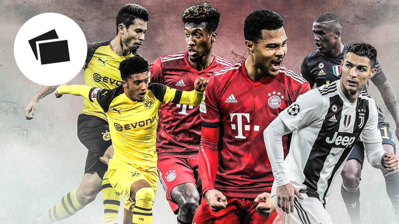 Die beste Flügelzange Europas