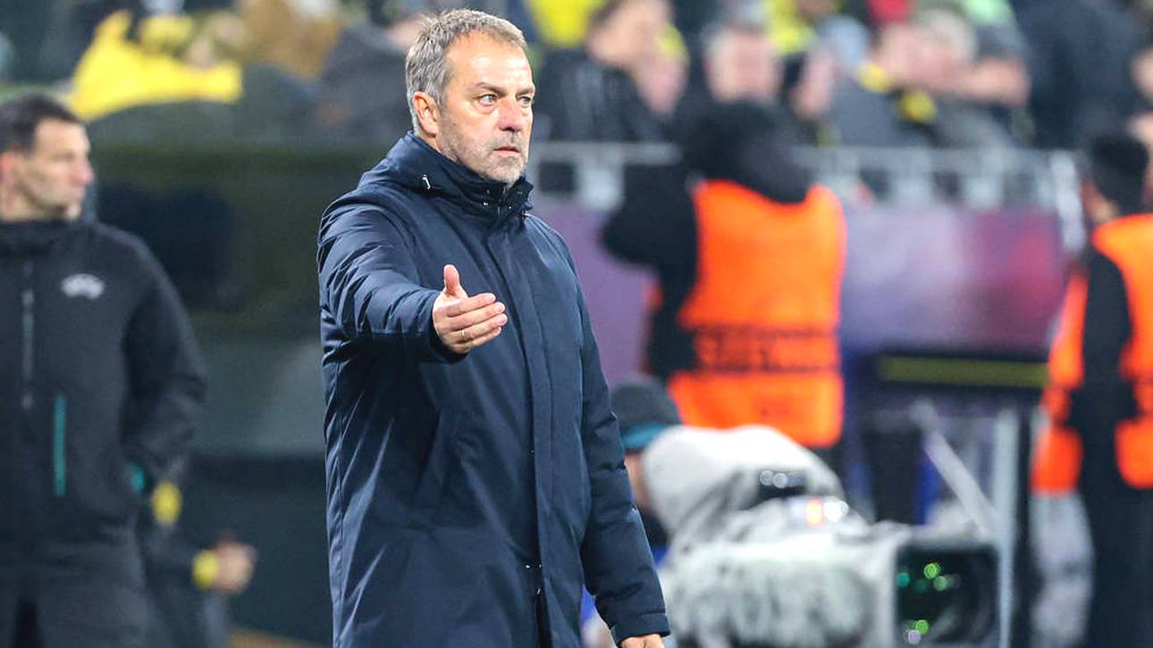 Schiri-Eingeständnis im Fall Flick