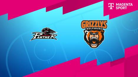 Augsburger Panther - Grizzlys Wolfsburg: Tore und Highlights | PENNY DEL