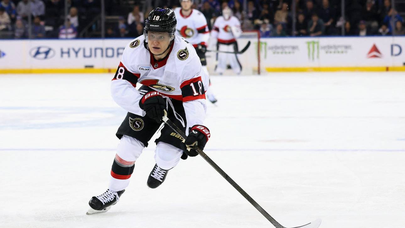 Ansturm auf NHL-Tickets