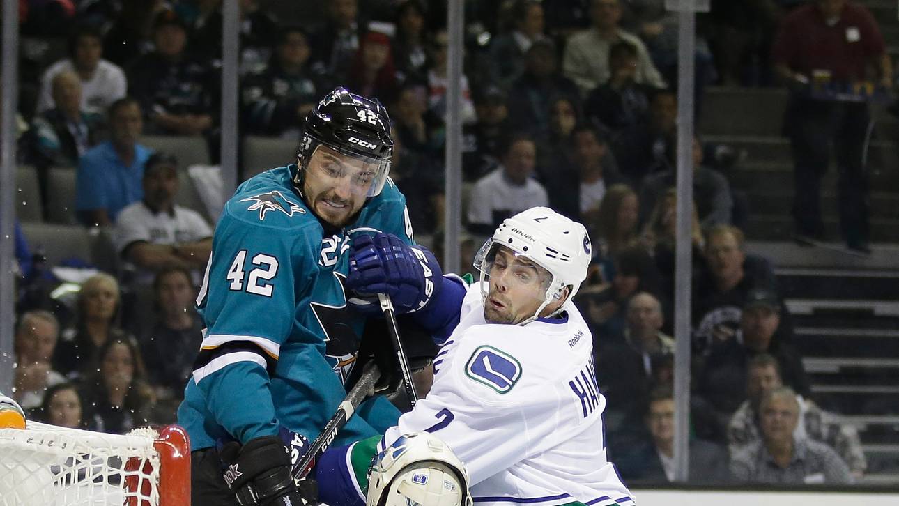 Wild Wings holen Ex-NHL-Profi