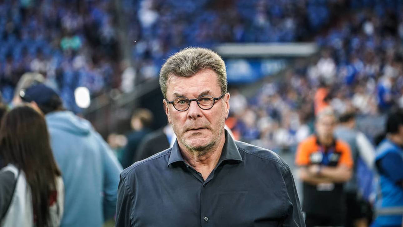 Nürnberg verkündet Hecking-Aus