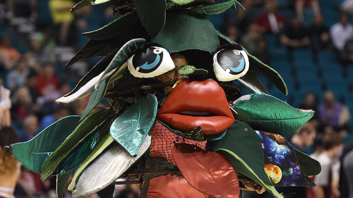 Gestatten: "Der Cardinal". Dieses Baum-Maskottchen ist bei Spielen der Stanford Cardinals zu bewundern. Zumindest an Kreativität ist das kaum zu übertreffen