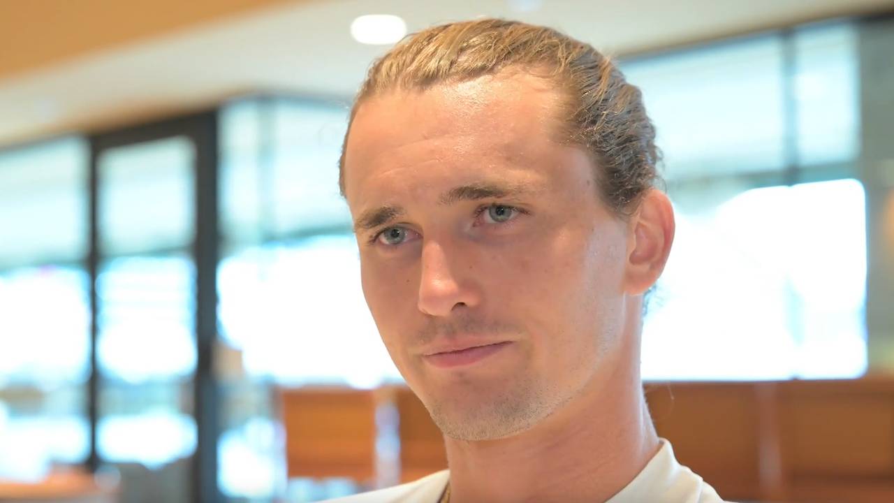 Bienen-Invasion bei Zverev-Match