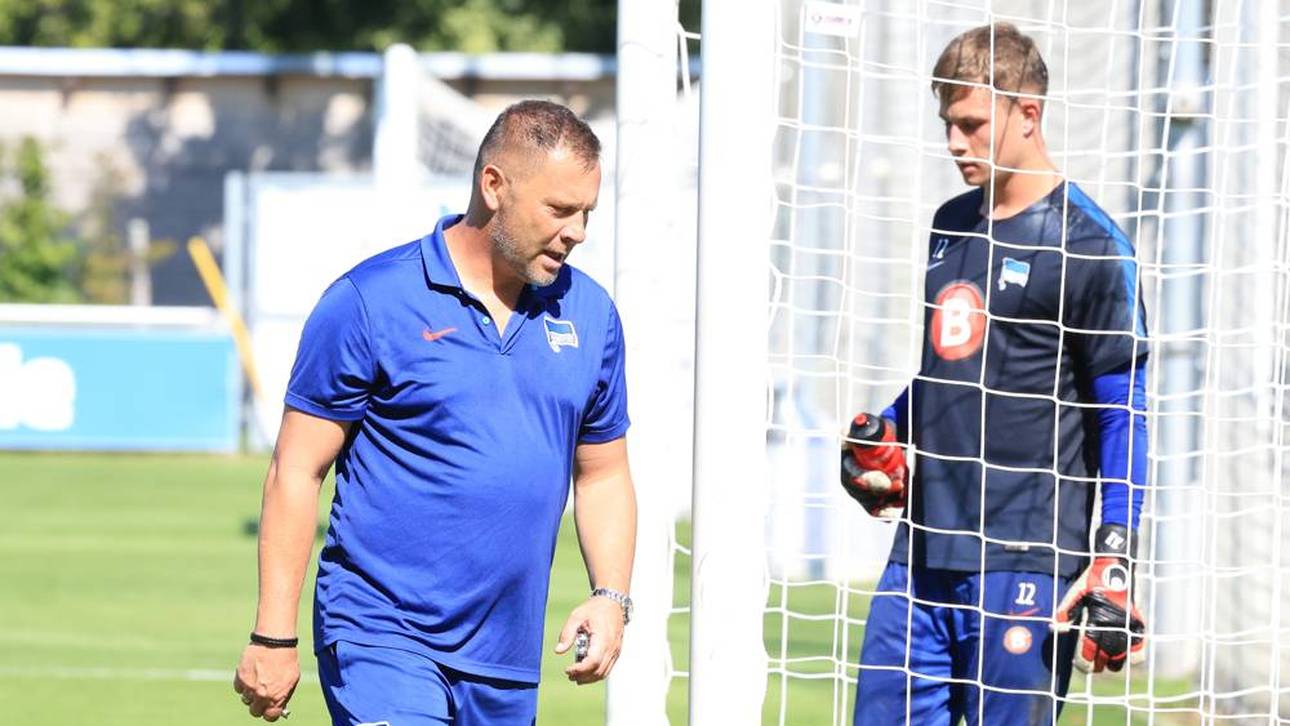 Dárdai schwärmt von neuer Nummer eins