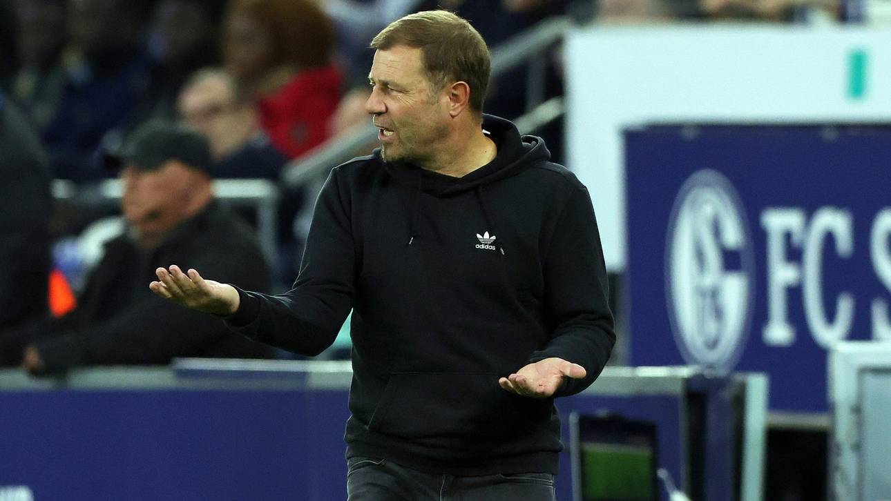 TSG präsentiert Nachwuchs-Chef