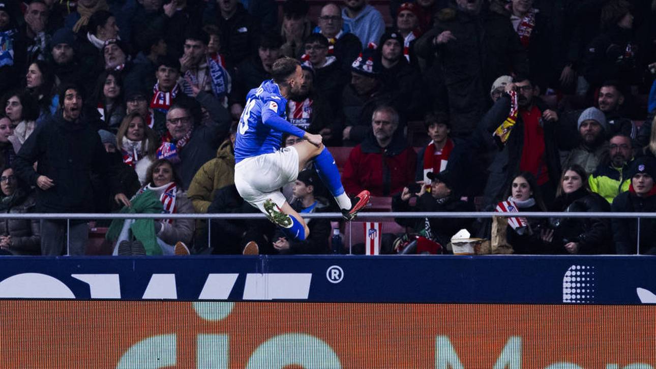 Wölfe-Flop plötzlich in aller Munde