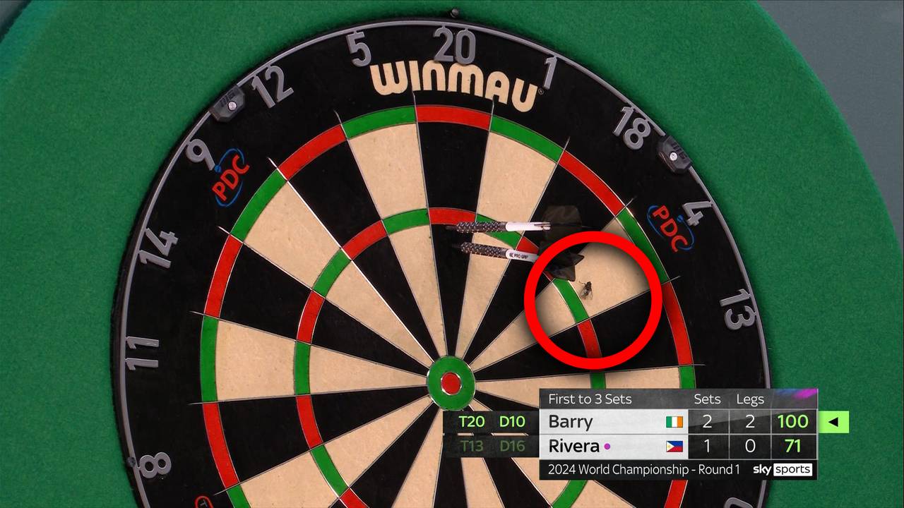 Darts WM 2024: Ally-Pally-Fliege aufgetaucht
