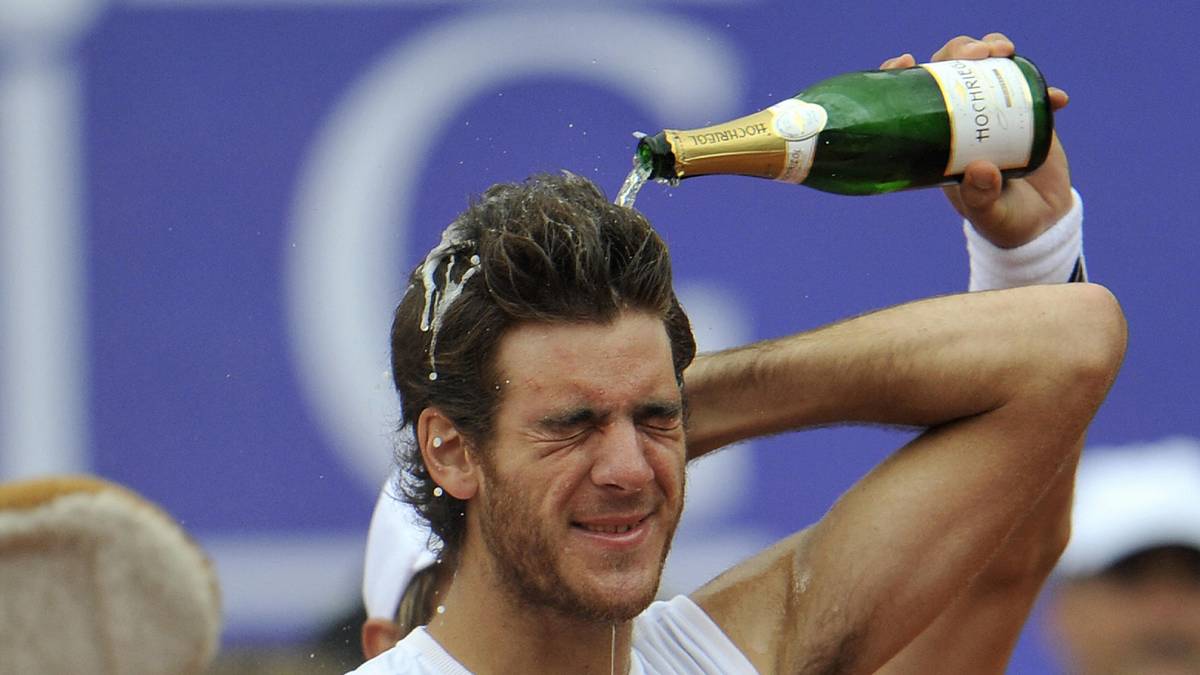 Im Jahr 2008 gelingt "DelPo" dann der endgültige Durchbruch auf der ATP-Tour. Zunächst gewinnt er im Juli den Mercedes Cup in Stuttgart, kurze Zeit später lässt er in Kitzbühel seinen zweiten ATP-Titel folgen