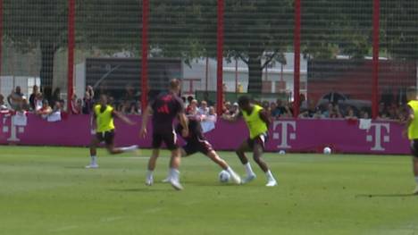 Im Training des FC Bayern München tunnelt Youngster Mathys Tel einen Teamkollegen. Die Fans des Rekordmeisters zeigen sich beeindruckt von dem Franzosen.