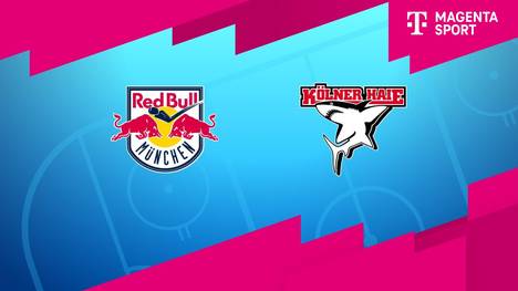 EHC Red Bull München - Kölner Haie: Tore und Highlights | PENNY DEL