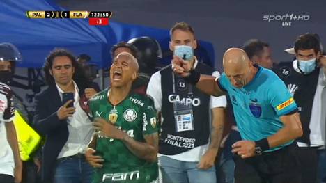 SE Palmeiras verteidigt im Finale gegen CR Flamengo seinen Titel in der Copa Libertadores. Ex-Kölner Deyverson erzielt das Siegtor - und zeigt eine unglaubliche Schauspieleinlage.
