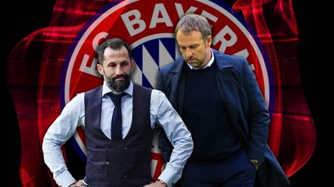 Am Sonntag sorgte im CHECK24 Doppelpass eine Aussage über Hasan Salihamidzic für reichlich Zündstoff. SPORT1 schaut auf die Einkaufspolitik von Bayerns Sportvorstand.