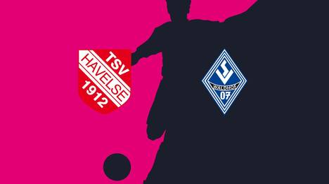 TSV Havelse - SV Waldhof Mannheim: Tore und Highlights | 3. Liga