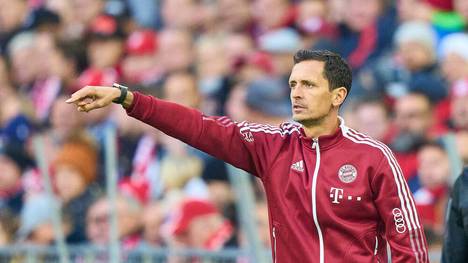 Dino Toppmöller macht als Interims-Chef beim FC Bayern einen guten Job. In der Zukunft will er selbst wieder eine Mannschaft leiten.
