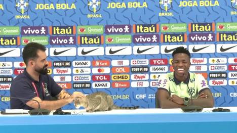 Während der Pressekonferenz von Brasilien mit Youngster Vinícius Júnior stürmt eine Katze die Veranstaltung und legt sich entspannt auf den Tisch des Brasilianers. 