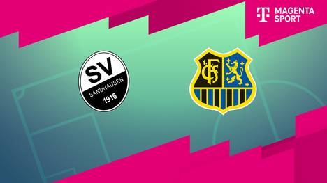 SV Sandhausen - 1. FC Saarbrücken: Tore und Highlights | 3. Liga