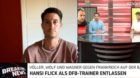 Nach dem Aus von Bundestrainer Hansi Flick kursieren bereits Gerüchte über mögliche Nachfolger. Bei wem hat der DFB die besten Karten? SPORT1-Chefreporter Kerry Hau klärt auf.